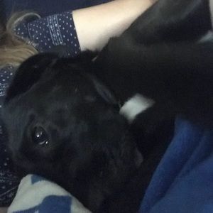 Meet your Posher, Abby